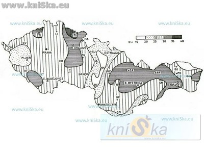 MOLLINI - BALLET EN CUIR - NARN - (#3) MO14027BLALE - NOIR main image 0